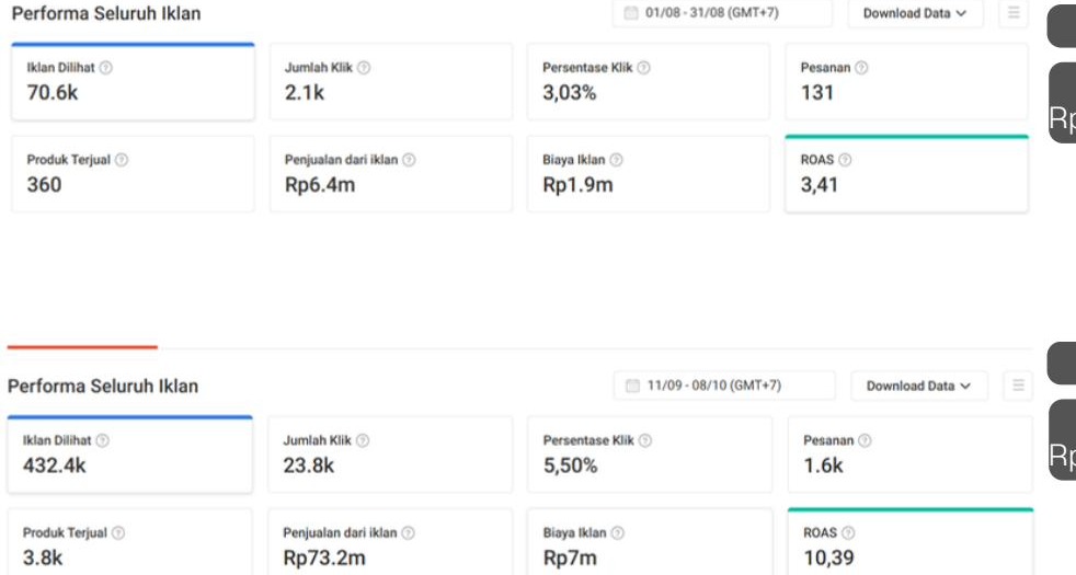 Screenshot dashboard performa iklan Pelangi Beauty
